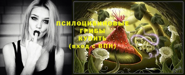 mix Алексин